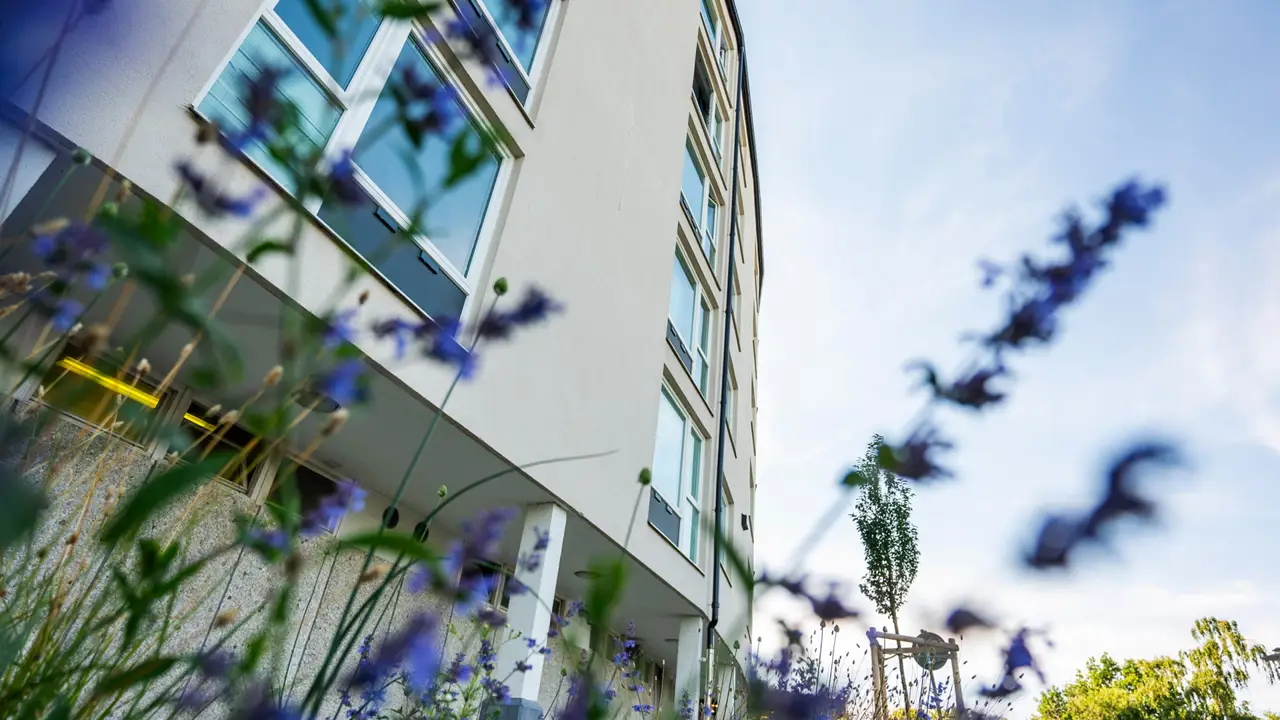 Grodperspektiv på fasad med blå blommor i förgrunden.